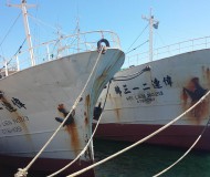 Fishing vessels for auction.jpg